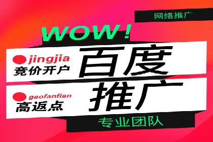 金融行业SEM服务的创新应用与效果